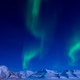 Illustration for article titled A Brilliant Glimpse of the Aurora Borealis Dancing in the Sky Near the North Pole